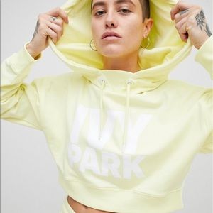 Ivy park cropped sweatshirt